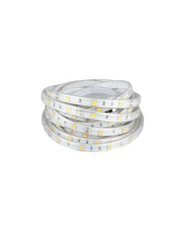 Taśma 150x LED 5050 4.8W/mb biała 6000K IP65 12V op=5m V-TAC VT-5050