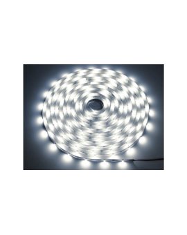 Taśma LED Premium 24V 2835 240d/m 50m 6000k IP20