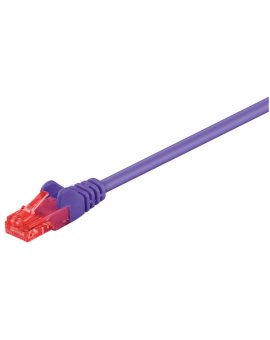 CAT 6Kabel łączący, U/UTP, Fioletowy - Długość kabla 0.25 m