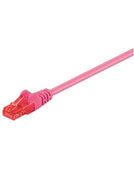 CAT 6Kabel łączący, U/UTP, Purpurowy - Długość kabla 0.25 m