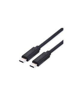 VALUE USB 2.0 Kabel, C–C, M/M, 100W, zwart, 2 m