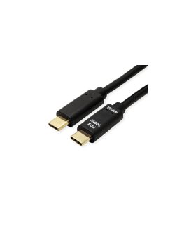 VALUE USB 2.0 Kabel, C–C, M/M, 100W, zwart, 3 m