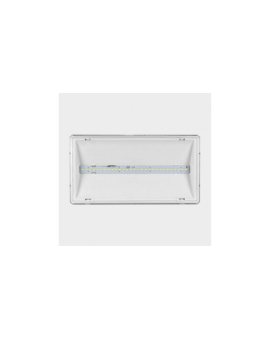 Oprawa awaryjna EXIT L IP65 LED 3W 425lm 1h jednozadaniowa AT biała ETL/3W/B/1/SE/AT/WH Awex