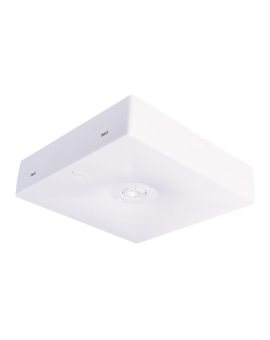 Oprawa sieciowo-awaryjna natynkowa STARLET QUAD SO 250 M 3H MT IP20 / 92834