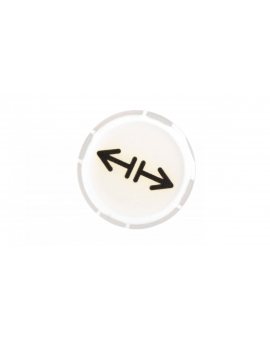 Soczewka przycisku 22mm płaska biała z symbolem LUZOWANIE M22-XDL-W-X13 218311