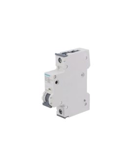 5SY4110-8 Wyłącznik nadprądowy 230/400VAC Iznam: 10A 10kA