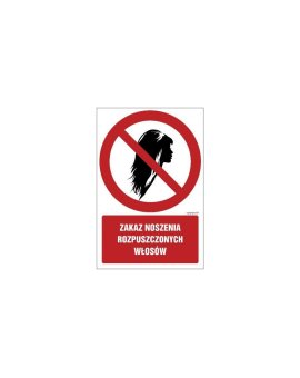 ZNAK - GC085 Zakaz noszenia rozpusczczonych włosów 35 x 52,5 cm PN - Płyta 1mm