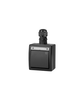 AQUANT 2K łącznik natynkowy zwierny światło IP65 antracytowy 5004-67