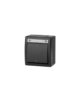 AQUANT 2K łącznik natynkowy 2-biegunowy IP55 antracytowy 5003-17