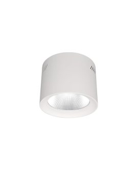 Downlight Natynkowy LED Phoenice 20W 3000-5700K IP64 Philips Driver