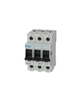 WYŁĄCZNIK GŁÓWNY RH 063-300 063A/3-BIEG. 09981062