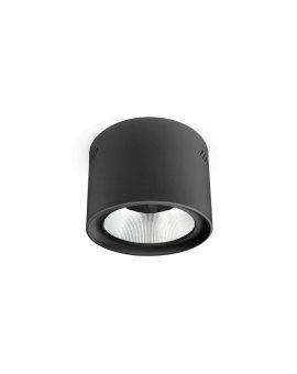 Downlight Natynkowy LED Phoenice 35W Czarny 3000-5700K IP64 Philips Driver