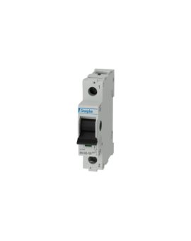 WYŁĄCZNIK GŁÓWNY RH 063-100 063A/1-BIEG. 09981060