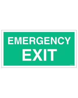 ZNAK - AC002 Emergency EXIT 40 x 20 cm TS - Płyta TD foto.
