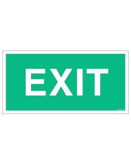 ZNAK - AC004 EXIT 80 x 40 cm TS - Płyta TD foto.