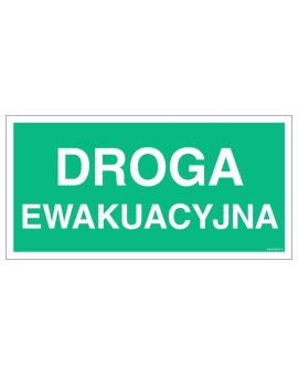 ZNAK - AC005 Droga ewakuacyjna 80 x 40 cm TS - Płyta TD foto.