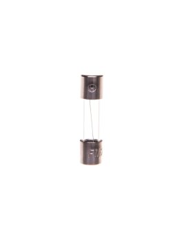 Wkładka aparatowa 5x20mm 1, 6A F /szybka/ 250V 006710019 /10szt./