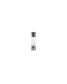 Wkładka aparatowa 5x20mm 100mA F /szybka/ 250V 006710009 /10szt./