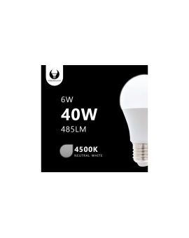 Żarówka LED E27 A60 6W 230V 4500K 485lm Forever Light RTV003432