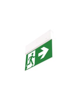 Oprawa ewakuacyjna DIRECTO S M 1H AT + (VD3, VD4, VD5 x 2) / 90381