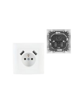 WESA Gniazdo Pojedyncze 2p+Z plus 2 x USB