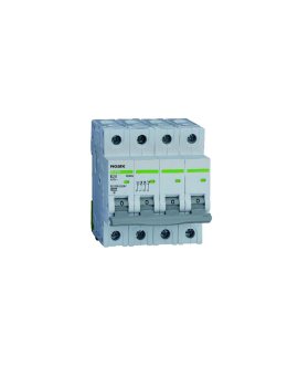 Wyłącznik nadprądowy 4P B 20A 6kA AC Ex9BN 100084