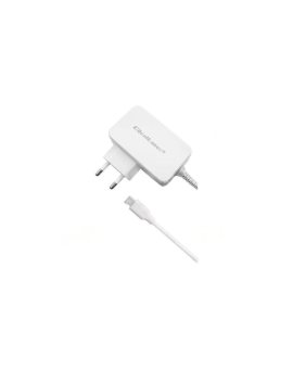 ZSI-51039 Zasilacz impulsowy: sieciowy, wtykowy, 5VDC, 3,25A, 65W