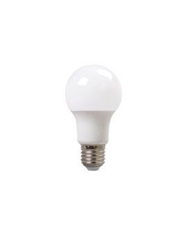 Żarówka LED E27 A60 6W 700lm 4000K AC/DC 24V niskonapięciowa LED-3021