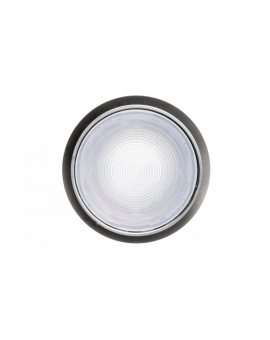 Napęd przycisku 22mm biały z podświetleniem z samopowrotem plastikowy IP69k Sirius ACT 3SU1031-0AB60-0AA0