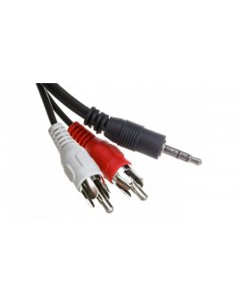 Kabel minijack (M) - 2xRCA (2xcinch) (M) 5m