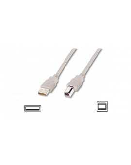 Kabel połączeniowy USB 2.0 Typ USB A/USB B, M/M beżowy 3m AK-300102-030-E