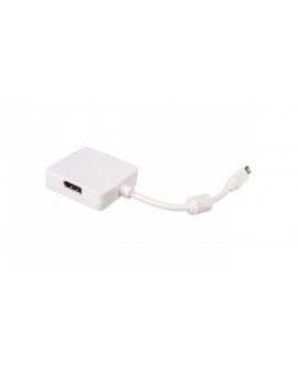Kabel adapter miniDisplayPort 1.1a Typ miniDP/DP+HDMI+DVI-D, M/Ż biały 0,2m