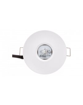 Oprawa awaryjna AXP IP65/20 ECO LED 3W 330lm (opt. road) 1h jednozadaniowa AT biała AXPR/3W/E/1/SE/AT/WH