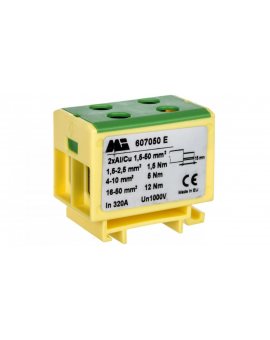 Złączka szynowa 2-torowa 1,5-50mm2 żółto-zielona EURO multiOTL 50 2xAl/Cu 607050 E
