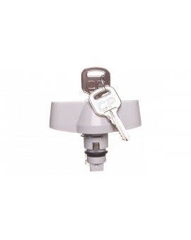 Wkładka metalowa na klucz do obudów SWD CET-00001 INC-00570