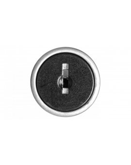 Łącznik pokrętny z kluczykiem, 2 położenia stabilne z ramką, metal /klucz 95/ P9MSCD0K95 184402