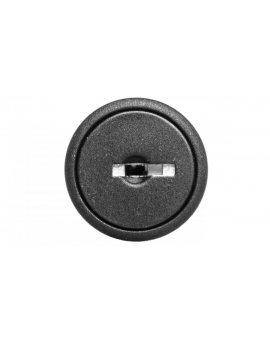 Łącznik pokrętny z kluczykiem 2 położenia stabilne z ramką /klucz 95/ P9XSCD0A95 185400