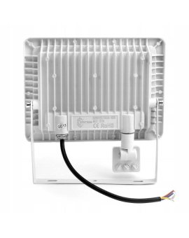 RESOLUTER WITH MOTION SENSOR White 50W Neutral 4000k