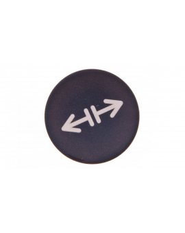 Soczewka przycisku 22mm płaska czarna z symbolem LUZOWANIE M22-XD-S-X13 218179