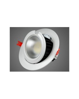 Downlight LED Gimbal 50W regulowany CW